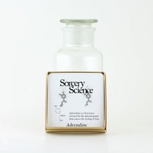 Adrenaline Molecule Studs in Stainless Steel Retail Packaging