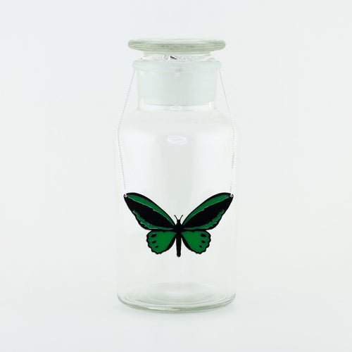 Green Birdwing Butterfly Necklace