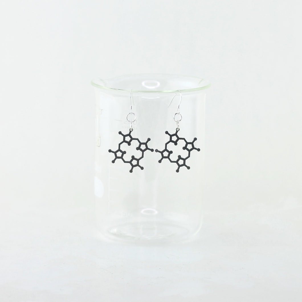 Heme Earrings in Stainless Steel