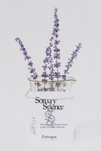 Estrogen Molecule Necklace in Stainless Steel, Retail Packaging