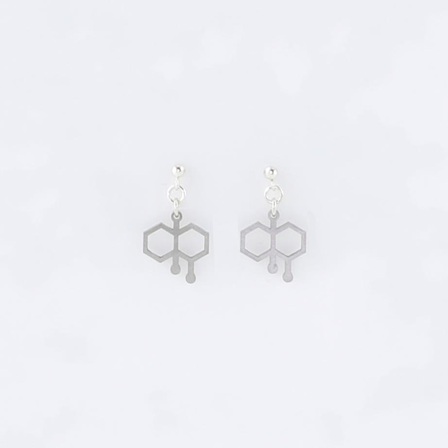 Petrichor Molecule Studs in Stainless Steel