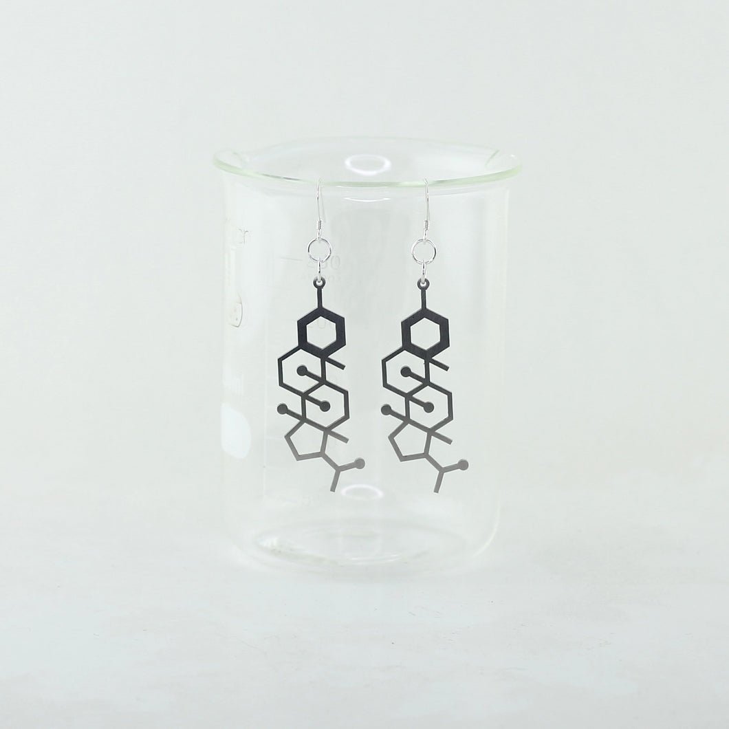 Progesterone Molecule Earrings in Stainless Steel