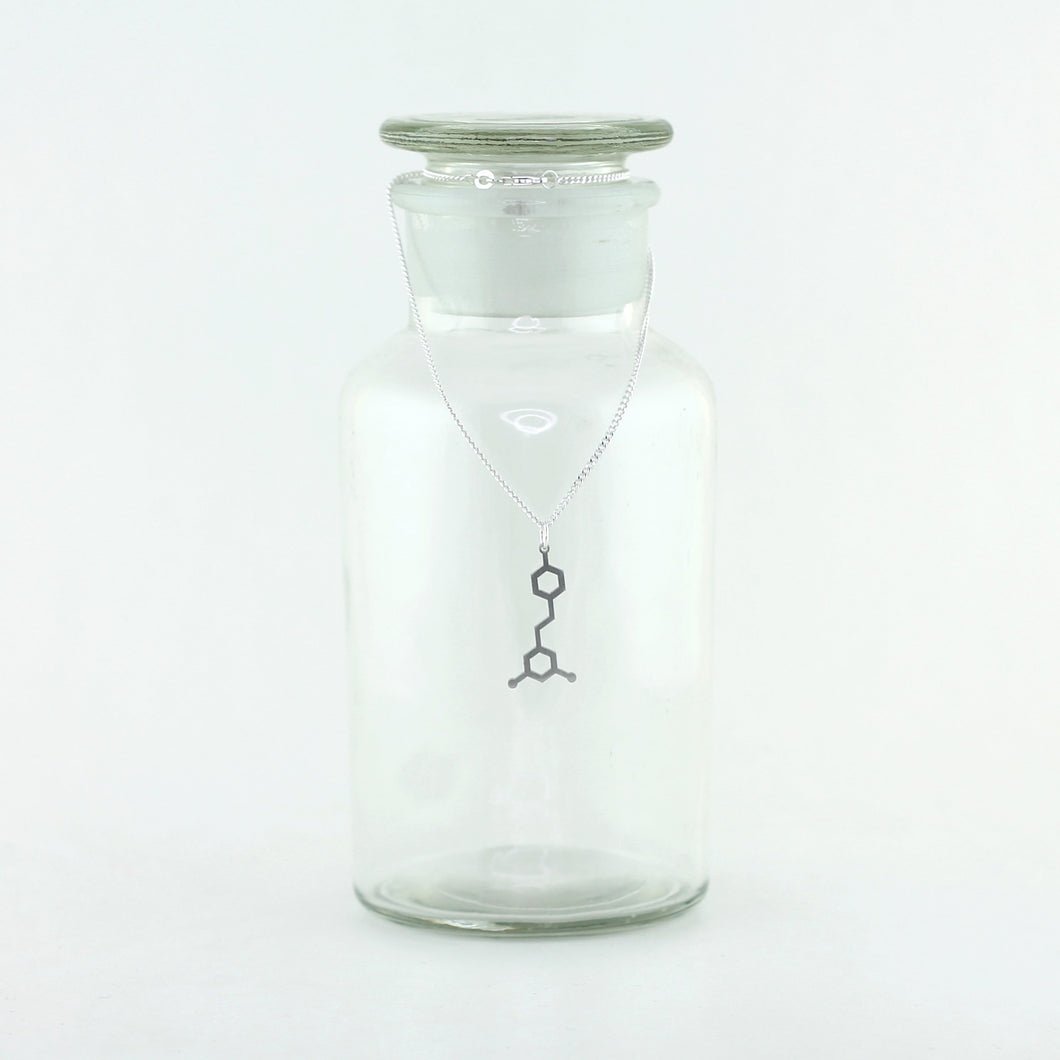 Resveratrol Molecule Necklace in Stainless Steel