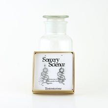 Testosterone Molecule Earrings in Stainless Steel Retail Packaging