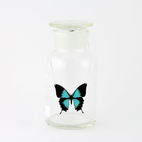 Ulysses Buttefly Necklace in Acrylic